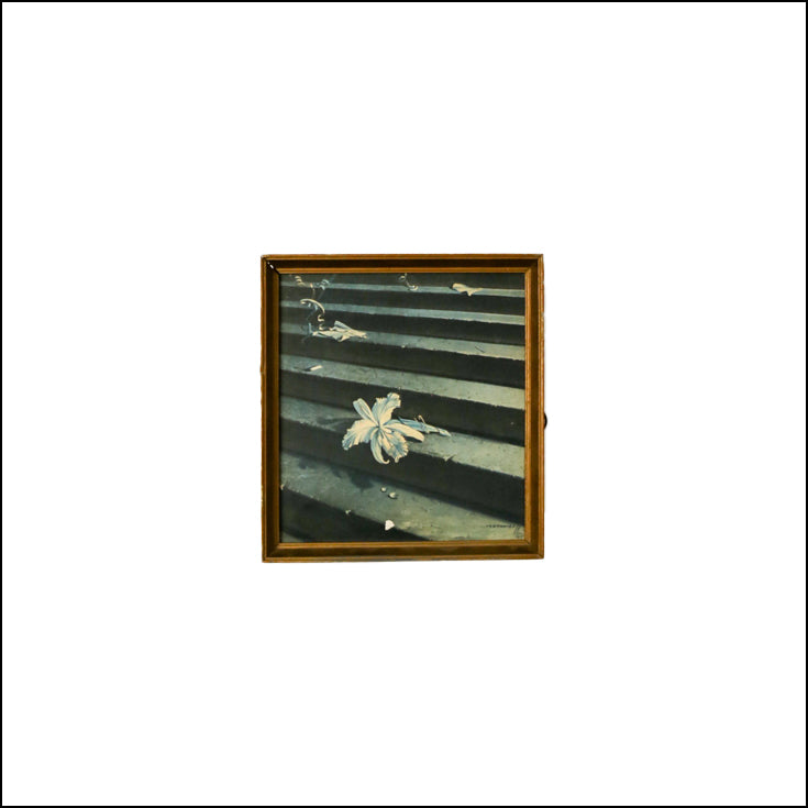Small Framed Lost Orchid - Tretchikoff