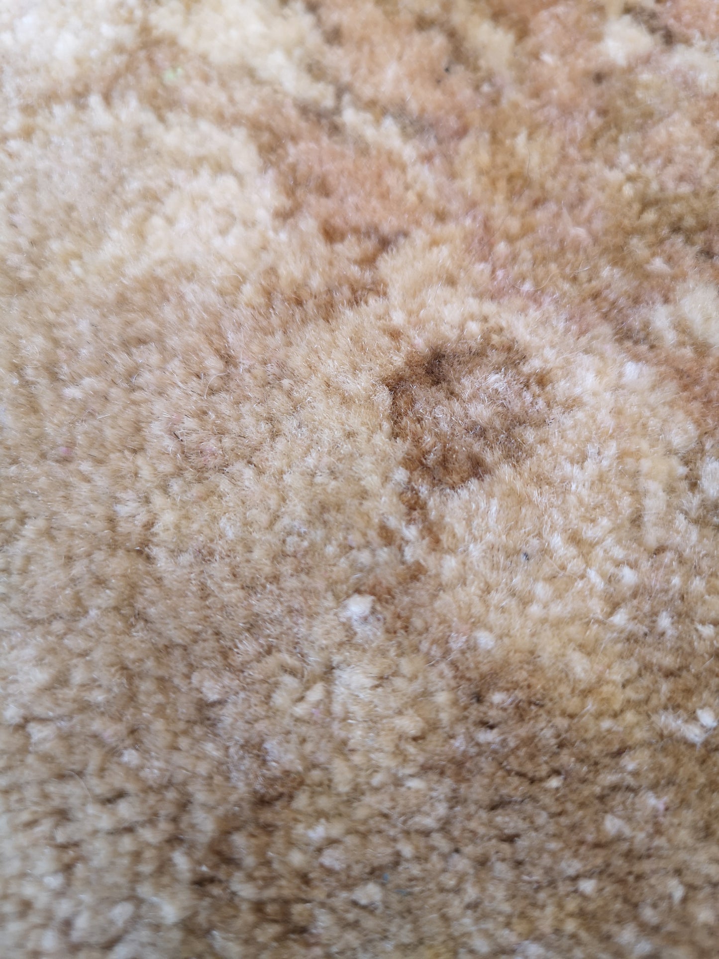Large Hand Knotted Chobi Rug