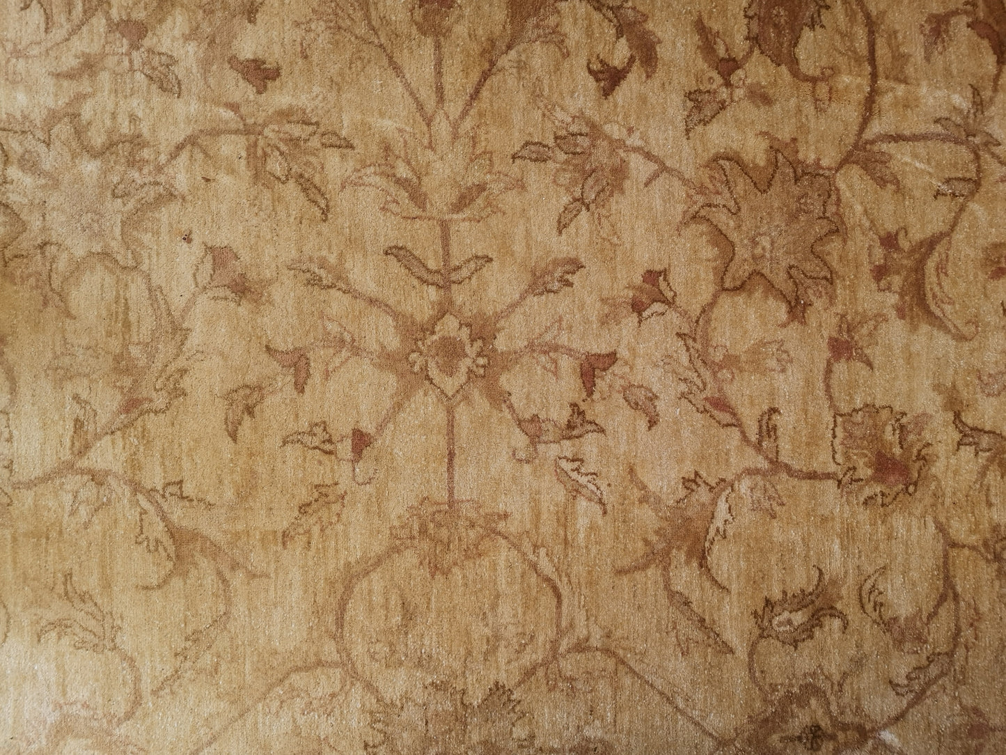 Large Hand Knotted Chobi Rug