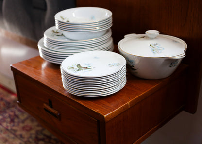 1950s Alfred Meakin Dinner Set