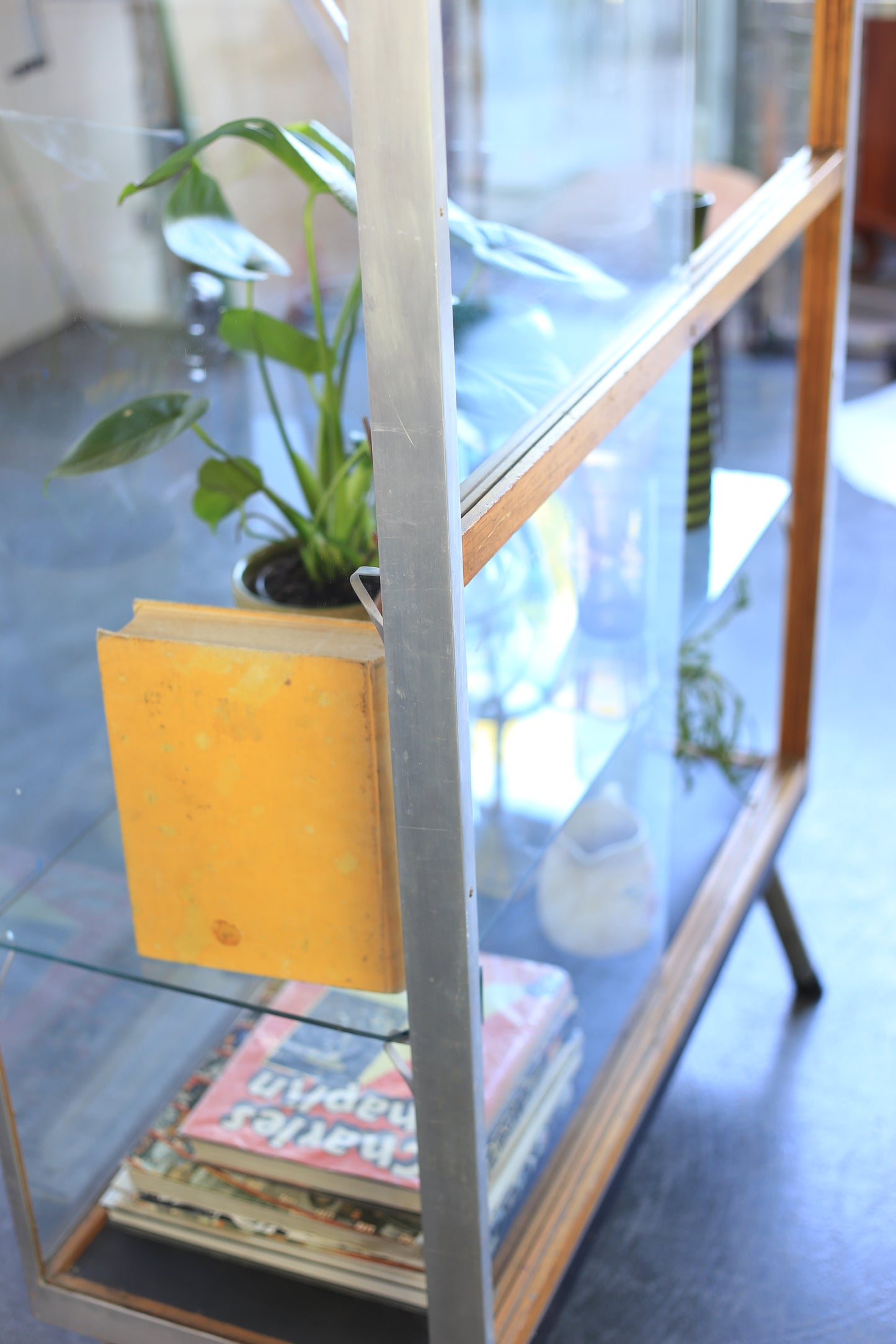 Vintage 'Merwitz' Display Cabinet
