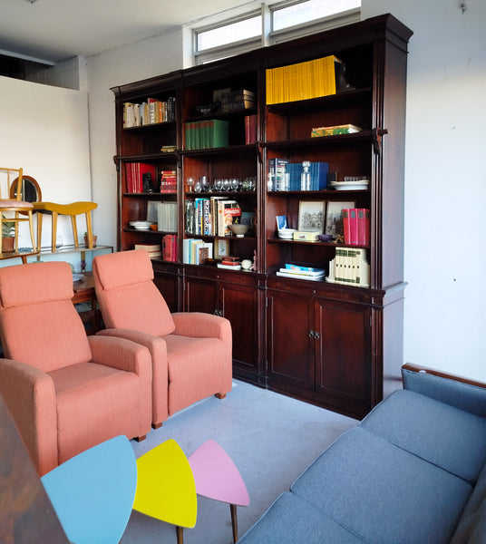 Large Library Cabinet with a Ladder