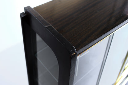 Vintage Modern Display Cabinet