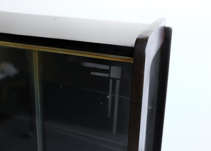 Vintage Modern Display Cabinet