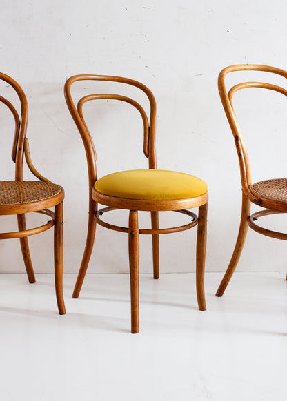 Set of Six Bentwood Chairs