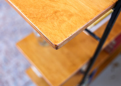 Steel Ladder and Birch Ply Wood Shelf - six tiers