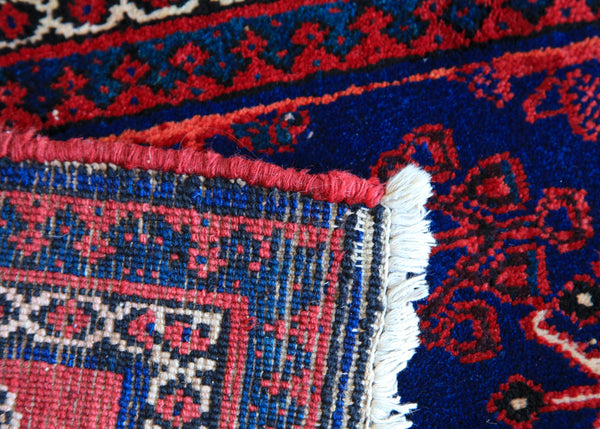 Hand Knotted Persian Joshegan Carpet