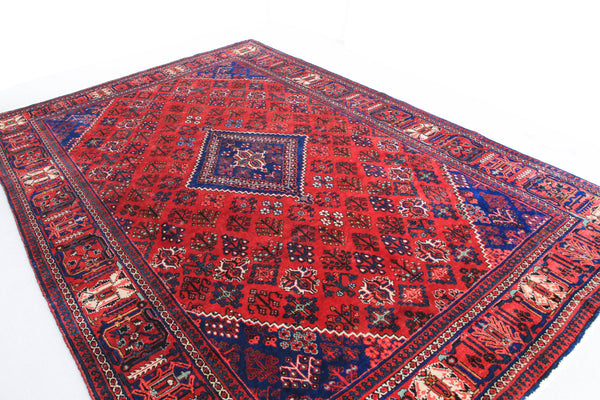 Hand Knotted Persian Joshegan Carpet