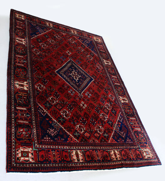 Hand Knotted Persian Joshegan Carpet