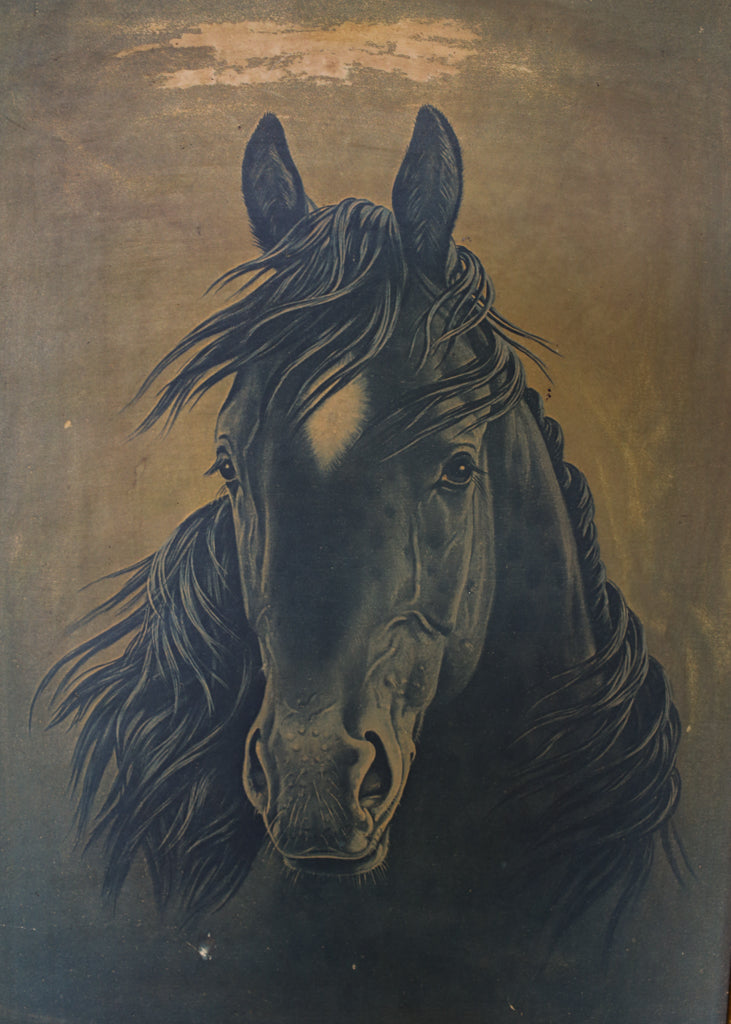 Vintage Framed Black Stallion Print
