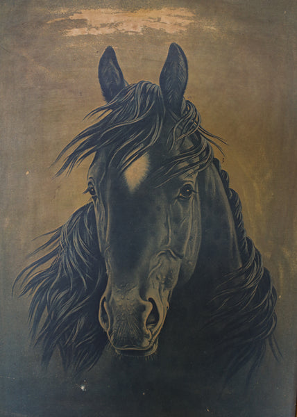 Vintage Framed Black Stallion Print