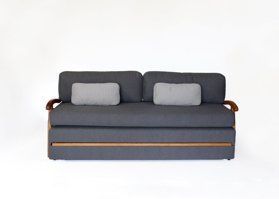 Vintage Sleeper Sofa