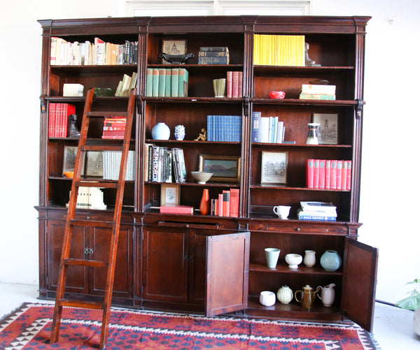 Large Library Cabinet with a Ladder