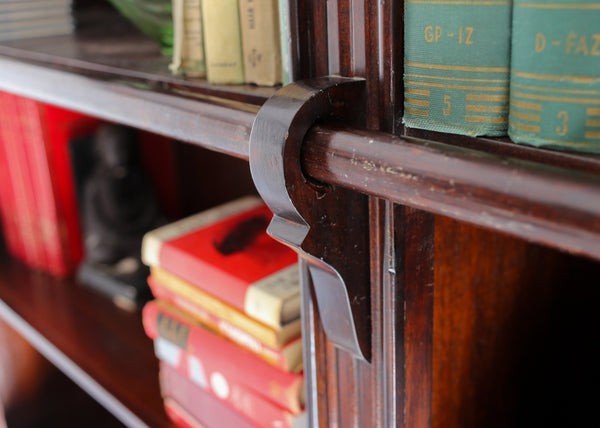 Large Library Cabinet with a Ladder