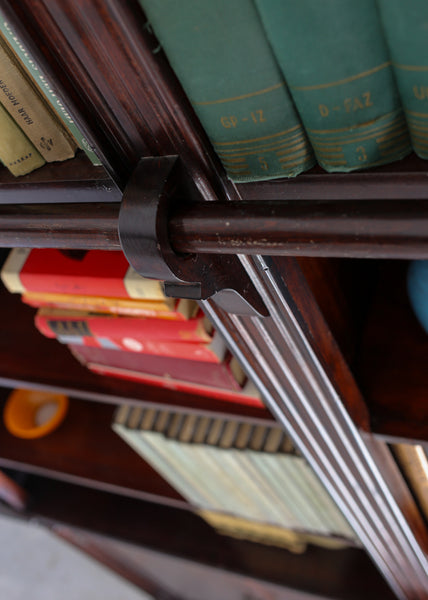 Large Library Cabinet with a Ladder