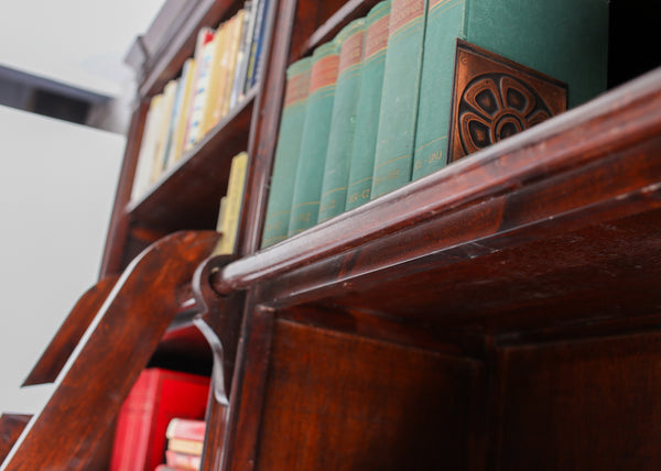 Large Library Cabinet with a Ladder