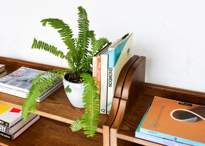 Two Heavy Vintage Oak Bookcases - priced per item