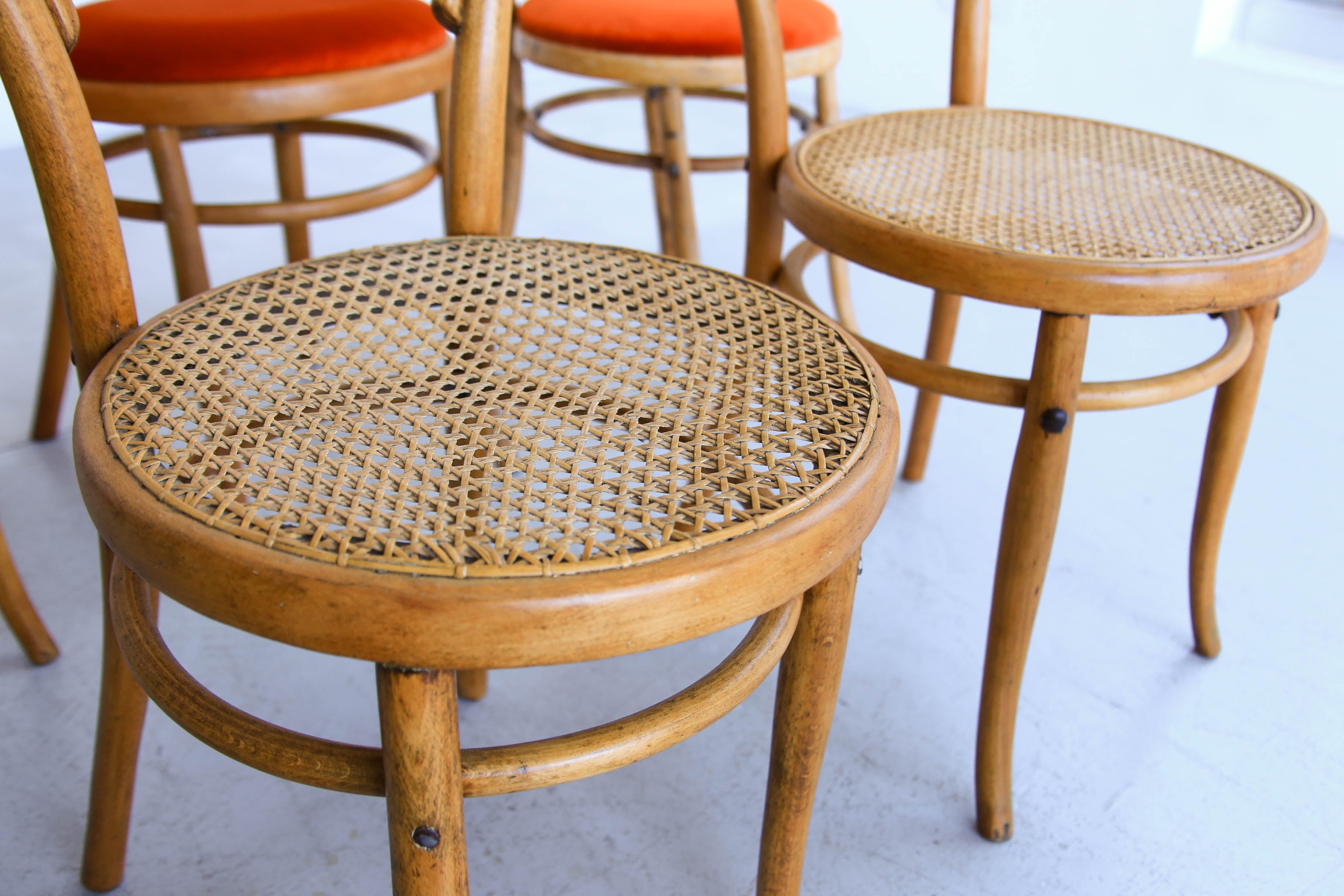 Bentwood chair ② Antique bentwood chairs - Fnestra