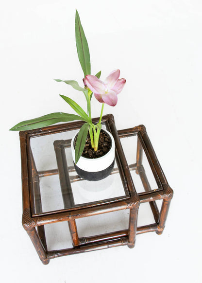 Nest of Two Cane Side Tables