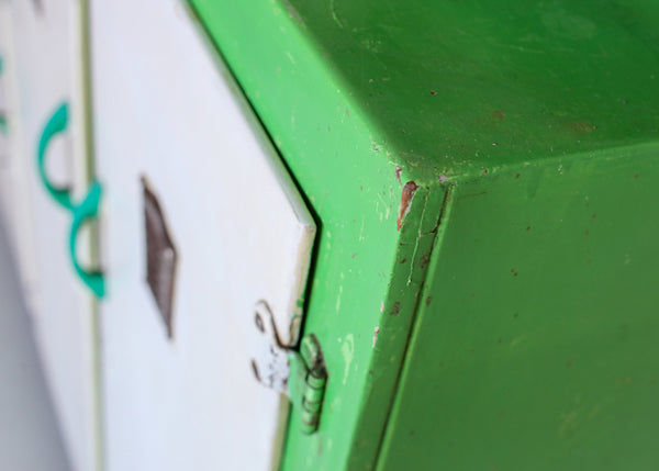 Vintage Kitchen or Larder Cabinet