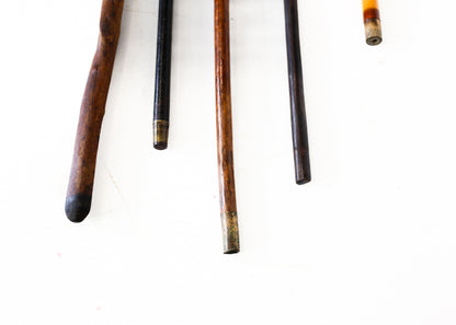 Vintage Walking Sticks