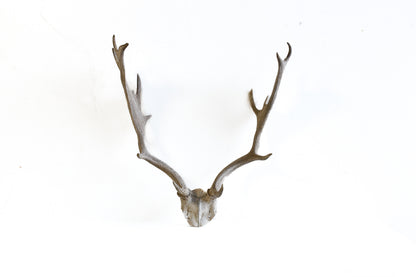 Vintage Deer Antlers
