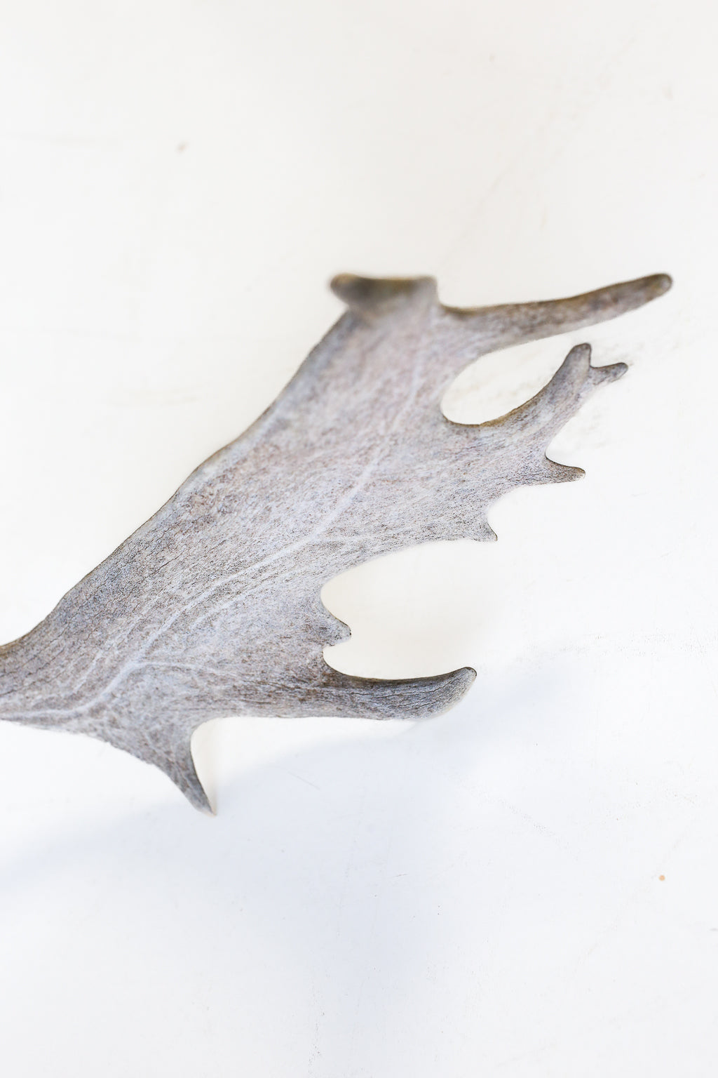 Vintage Deer Antlers