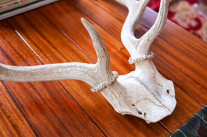 Vintage Deer Antlers
