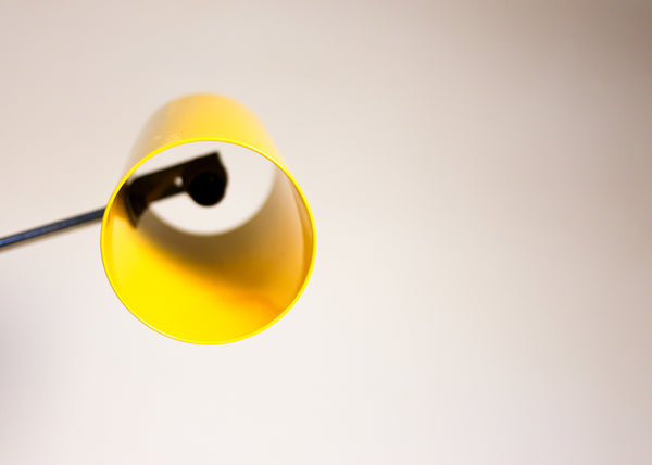 Mid-century Adjustable Floor Lamp