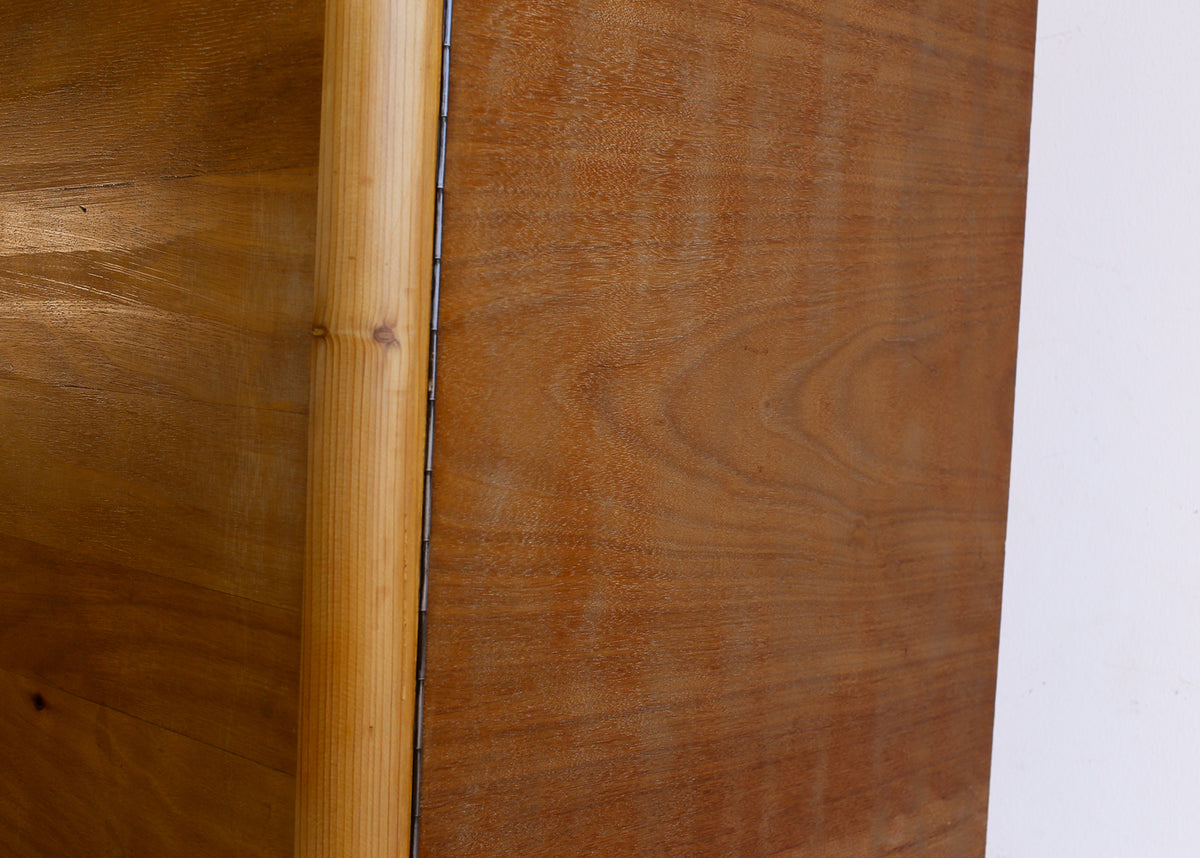 Two-Door Wardrobe in Oregon Pine and Light Wood