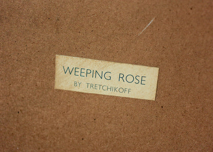 Framed Weeping Rose - Tretchikoff