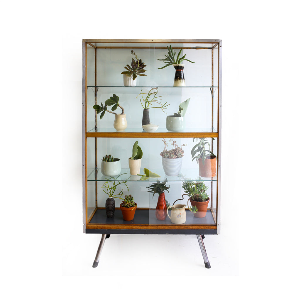 Vintage 'Merwitz' Display Cabinet