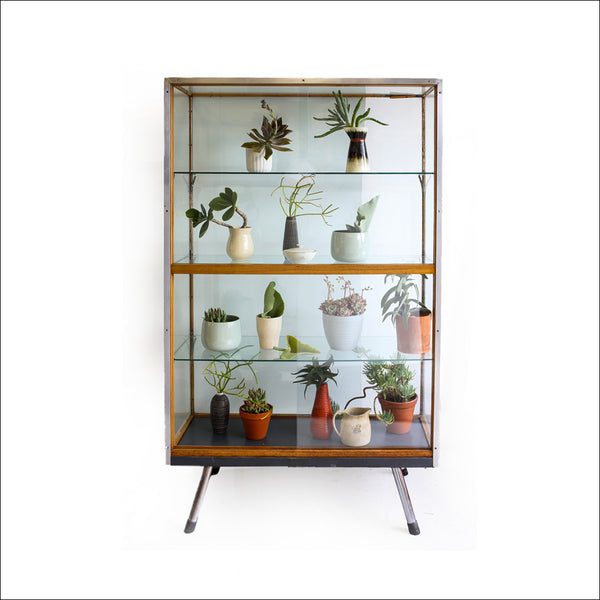 Vintage 'Merwitz' Display Cabinet