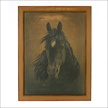 Vintage Framed Black Stallion Print