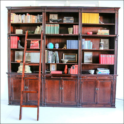 Large Library Cabinet with a Ladder
