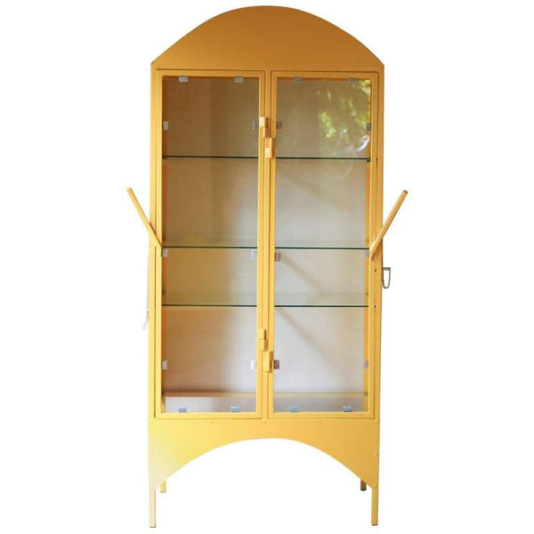 The 'Concomitant Modern Medical Cabinet'