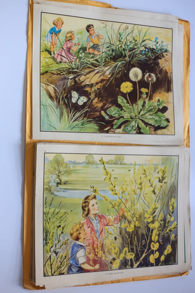 Very Collectible Original set of Enid Blyton Nature Plate Prints