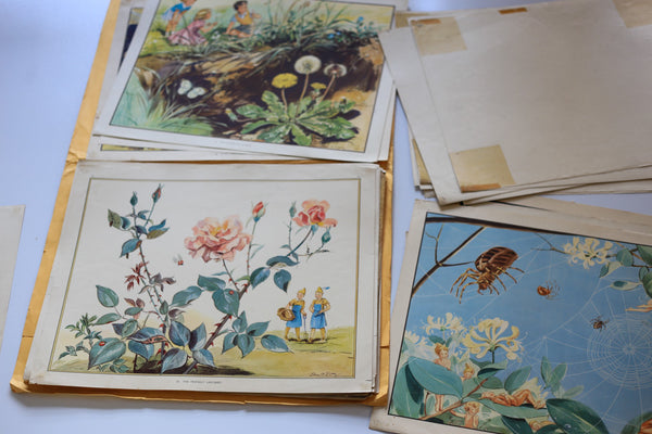 Very Collectible Original set of Enid Blyton Nature Plate Prints
