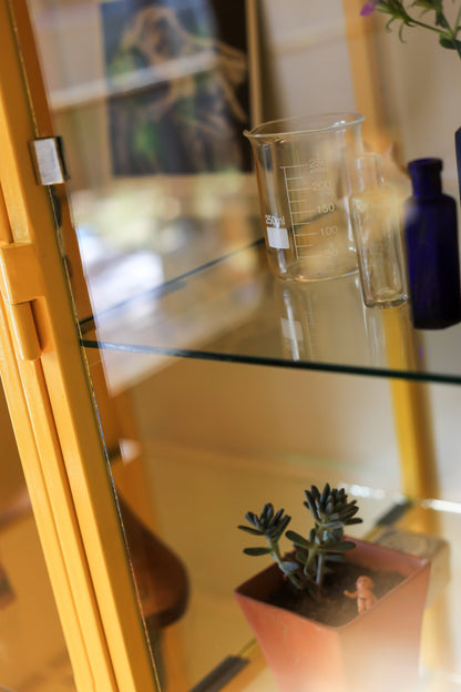 The 'Concomitant Modern Medical Cabinet'