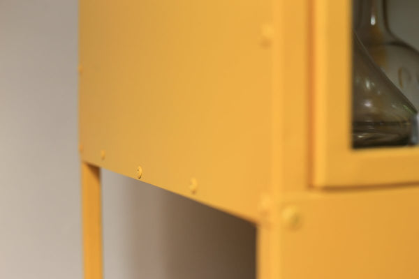 The 'Concomitant Modern Medical Cabinet'