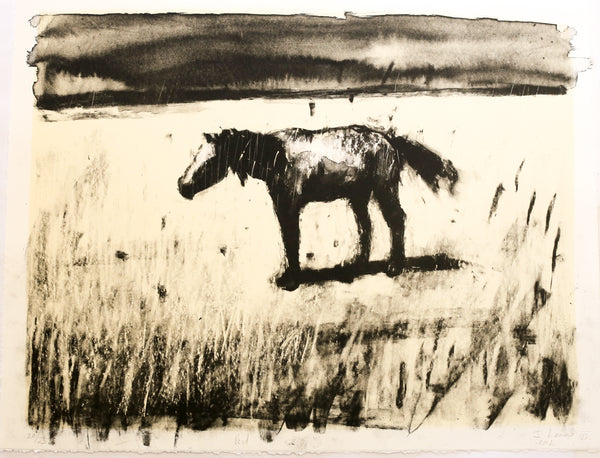 'Horse' by Johann Louw - Two Colour Lithograph