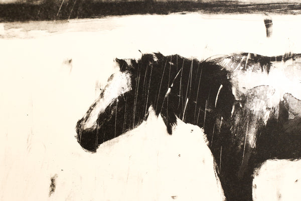 'Horse' by Johann Louw - Two Colour Lithograph