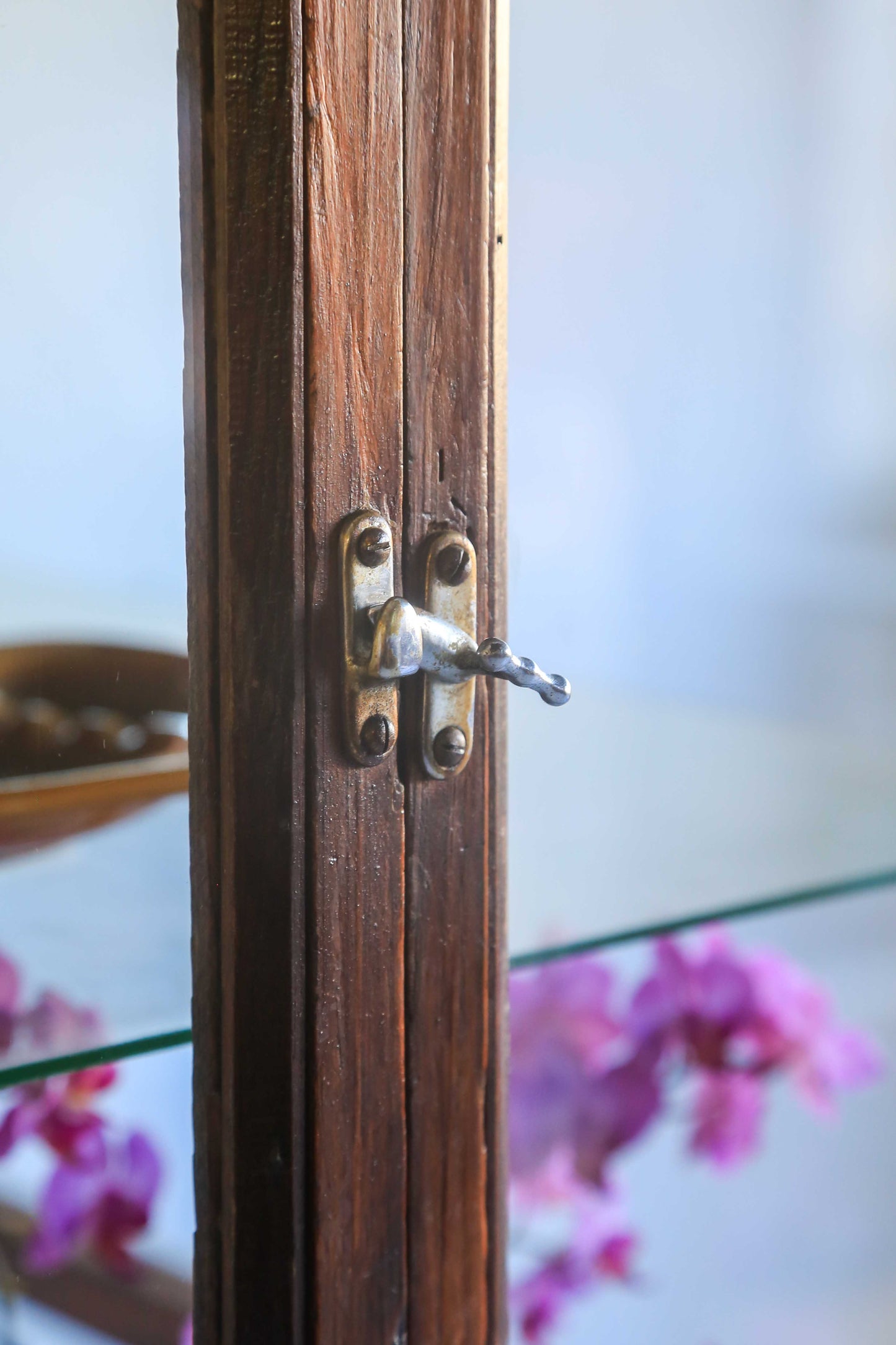 Old Oregon Display Cabinet