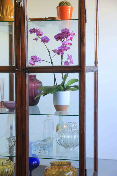 Old Oregon Display Cabinet