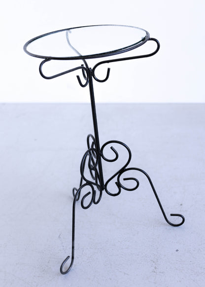 Steel and Glass Plant Stand