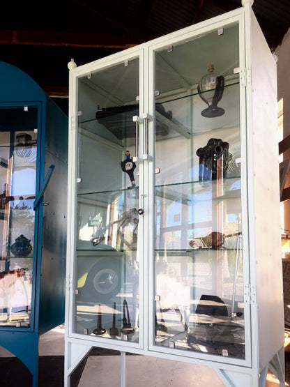 The Newly Defined 'Insurgent Medical Cabinet' - made to order